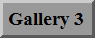 Gallery 3