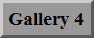 Gallery 4